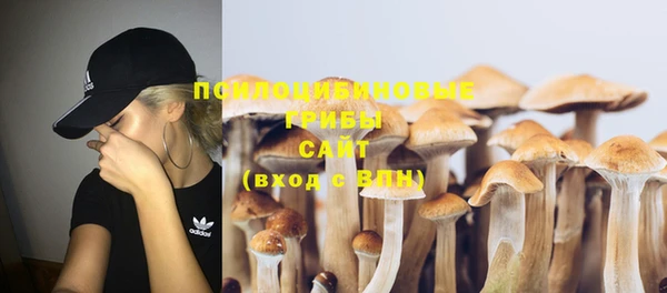 эйфоретик Аркадак