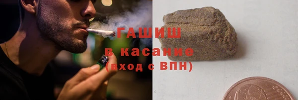 прущие грибы Приозерск