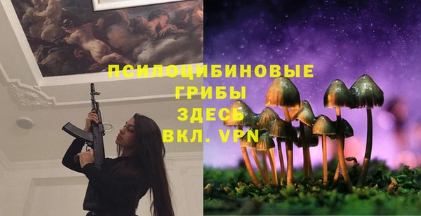 а пвп мука Армянск
