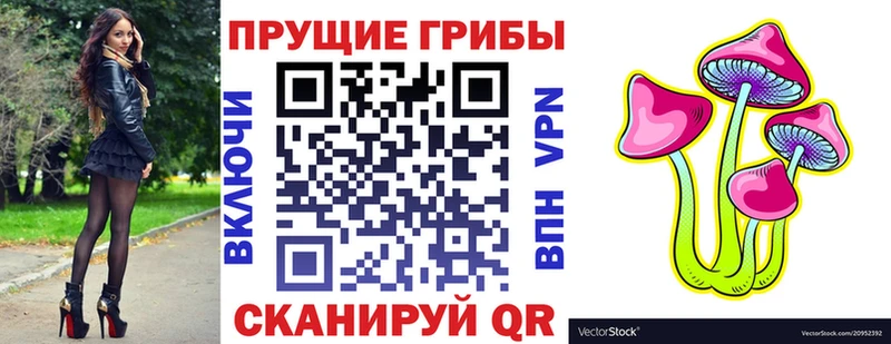 где купить наркотик  Спас-Клепики  Галлюциногенные грибы GOLDEN TEACHER 
